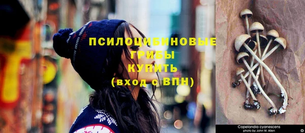 каннабис Баксан