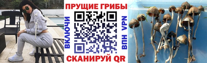 Псилоцибиновые грибы мухоморы купить цена Никольск